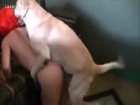 Red haired teen got fucked by a dog xxx